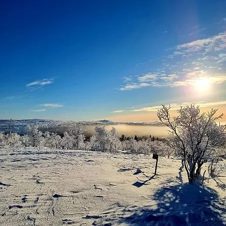 Rakovalkia דירה *